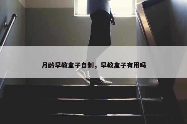 月龄早教盒子自制，早教盒子有用吗