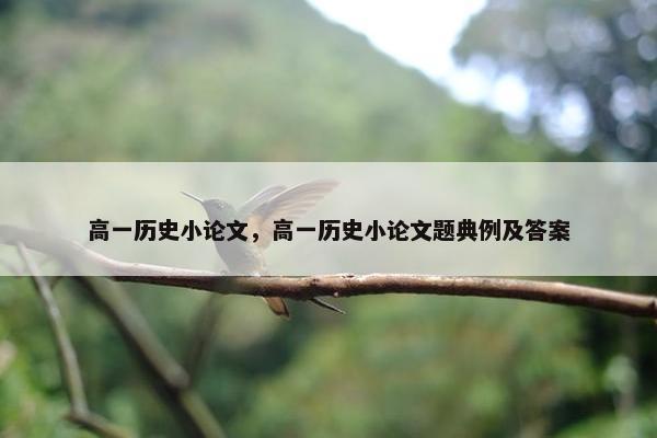高一历史小论文，高一历史小论文题典例及答案