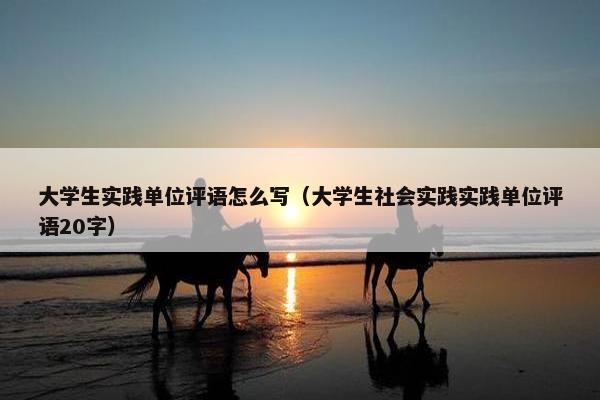 大学生实践单位评语怎么写（大学生社会实践实践单位评语20字）