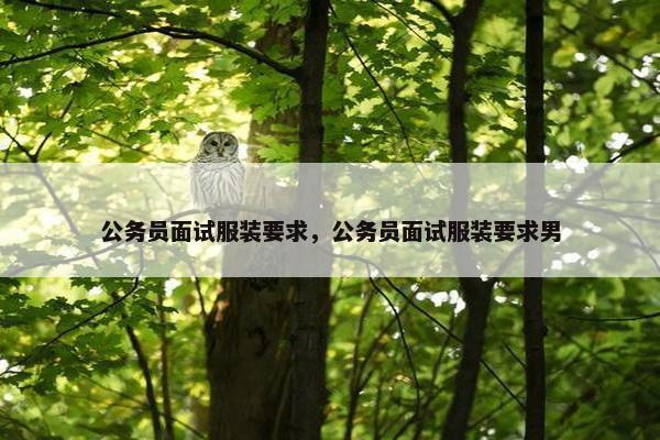 公务员面试服装要求，公务员面试服装要求男