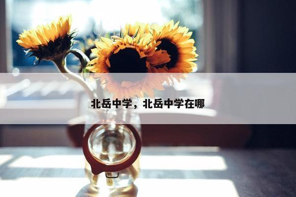 北岳中学，北岳中学在哪