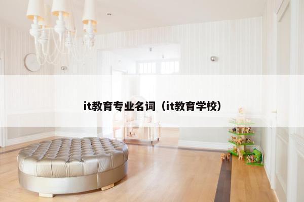 it教育专业名词（it教育学校）