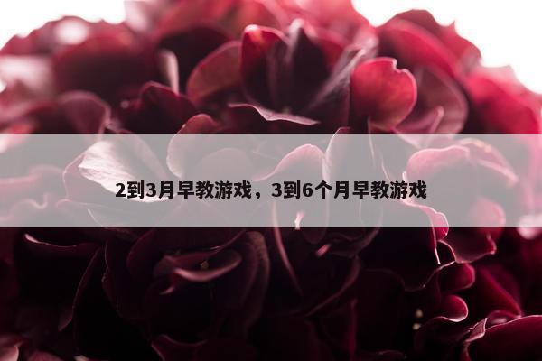 2到3月早教游戏，3到6个月早教游戏