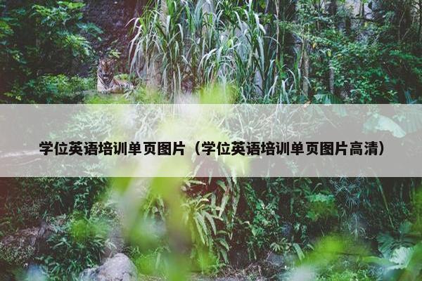 学位英语培训单页图片（学位英语培训单页图片高清）