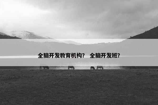 全脑开发教育机构？ 全脑开发班？