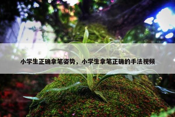 小学生正确拿笔姿势，小学生拿笔正确的手法视频