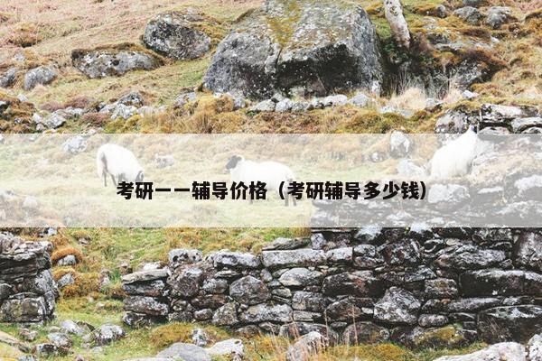 考研一一辅导价格（考研辅导多少钱）