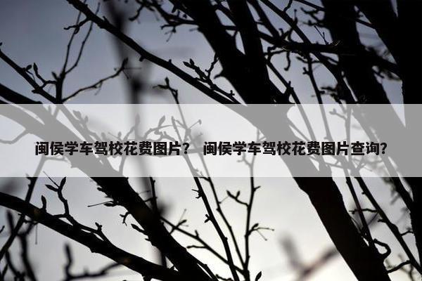 闽侯学车驾校花费图片？ 闽侯学车驾校花费图片查询？
