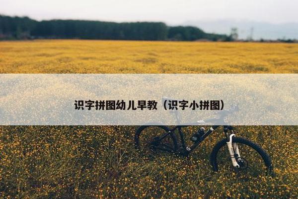 识字拼图幼儿早教（识字小拼图）