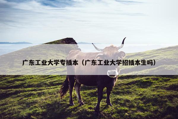 广东工业大学专插本（广东工业大学招插本生吗）