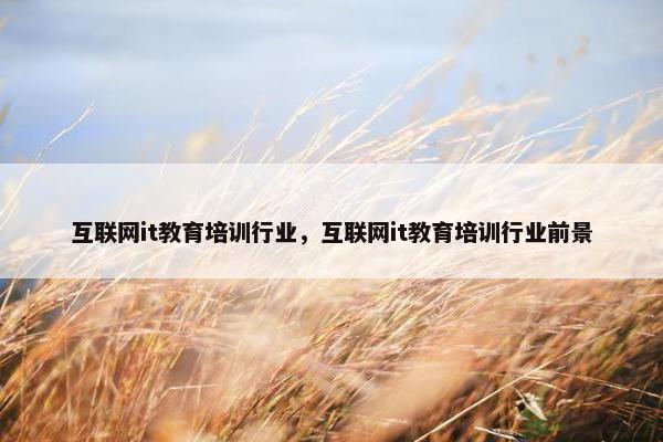互联网it教育培训行业，互联网it教育培训行业前景