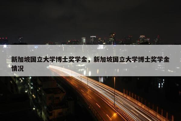 新加坡国立大学博士奖学金，新加坡国立大学博士奖学金情况