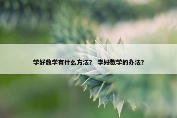 学好数学有什么方法？ 学好数学的办法？