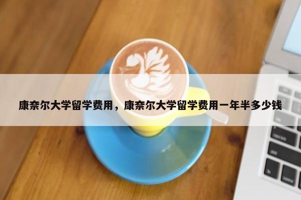 康奈尔大学留学费用，康奈尔大学留学费用一年半多少钱