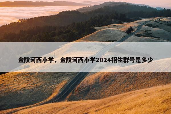 金陵河西小学，金陵河西小学2024招生群号是多少