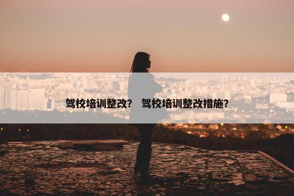 驾校培训整改？ 驾校培训整改措施？
