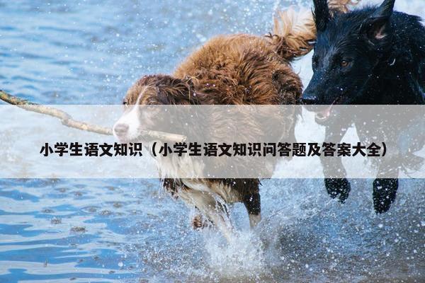 小学生语文知识（小学生语文知识问答题及答案大全）