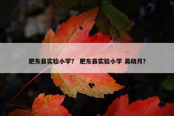 肥东县实验小学？ 肥东县实验小学 吴晓月？