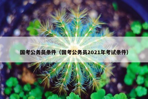 国考公务员条件（国考公务员2021年考试条件）