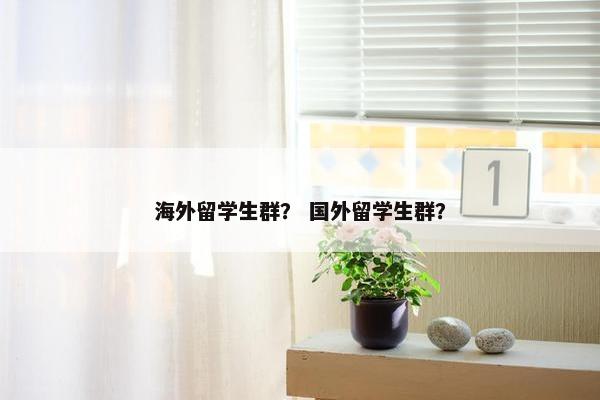 海外留学生群？ 国外留学生群？