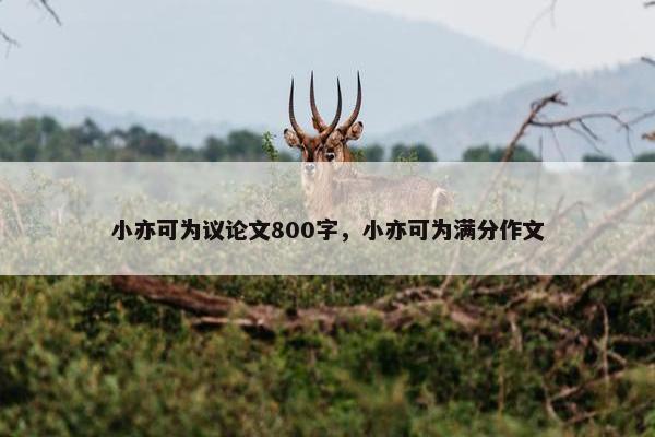 小亦可为议论文800字，小亦可为满分作文