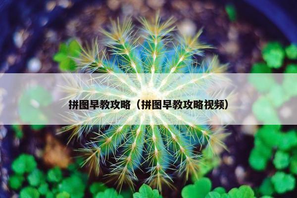拼图早教攻略（拼图早教攻略视频）