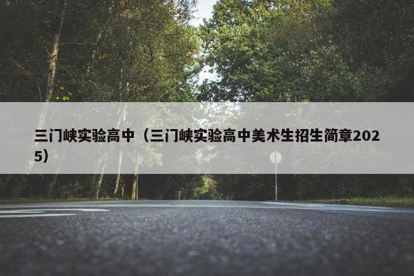 三门峡实验高中（三门峡实验高中美术生招生简章2025）