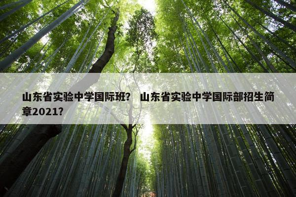山东省实验中学国际班？ 山东省实验中学国际部招生简章2021？