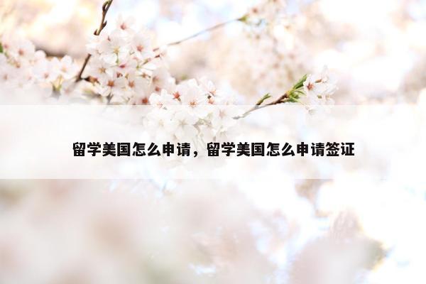 留学美国怎么申请，留学美国怎么申请签证