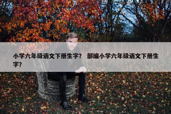 小学六年级语文下册生字？ 部编小学六年级语文下册生字？