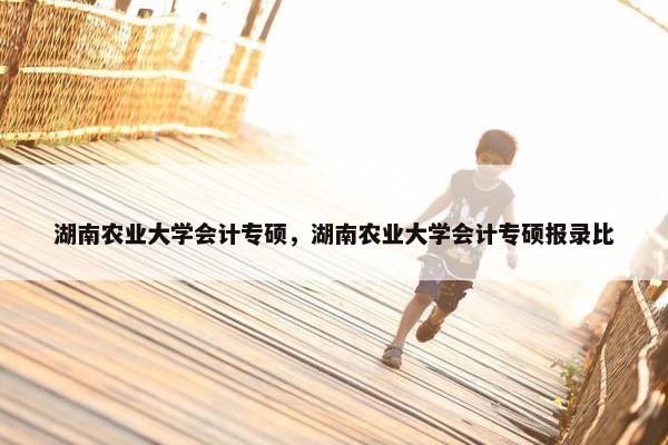 湖南农业大学会计专硕，湖南农业大学会计专硕报录比