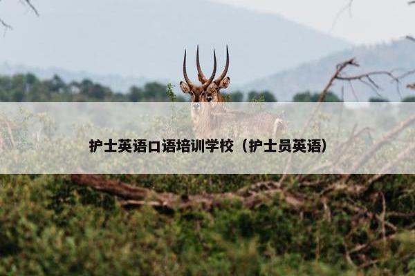 护士英语口语培训学校（护士员英语）