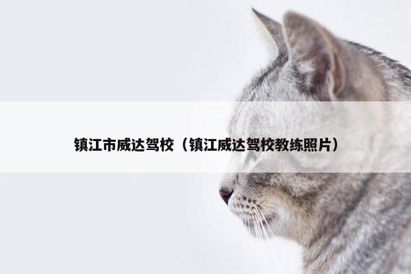 镇江市威达驾校（镇江威达驾校教练照片）