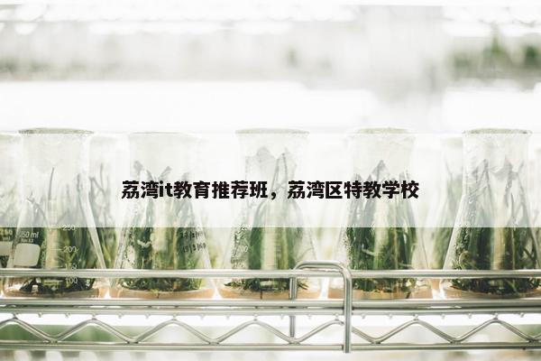 荔湾it教育推荐班，荔湾区特教学校
