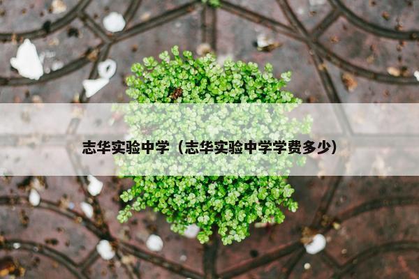 志华实验中学（志华实验中学学费多少）