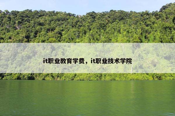 it职业教育学费，it职业技术学院