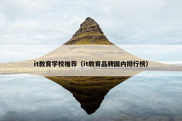 it教育学校推荐（it教育品牌国内排行榜）