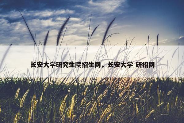 长安大学研究生院招生网，长安大学 研招网