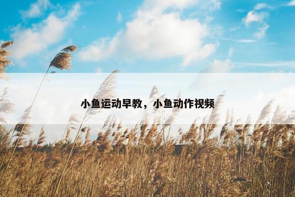 小鱼运动早教，小鱼动作视频