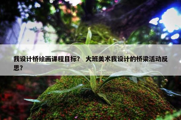 我设计桥绘画课程目标？ 大班美术我设计的桥梁活动反思？