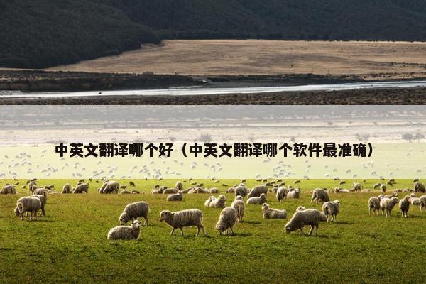 中英文翻译哪个好（中英文翻译哪个软件最准确）