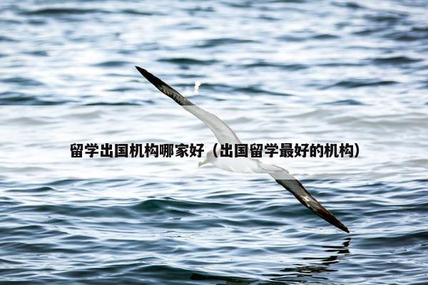 留学出国机构哪家好（出国留学最好的机构）