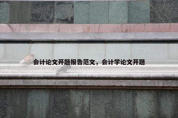 会计论文开题报告范文，会计学论文开题