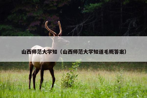 山西师范大学知（山西师范大学知道毛概答案）