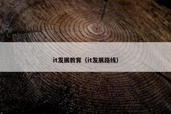 it发展教育（it发展路线）