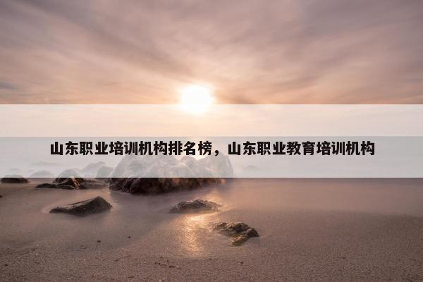 山东职业培训机构排名榜，山东职业教育培训机构