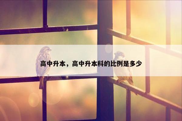 高中升本，高中升本科的比例是多少