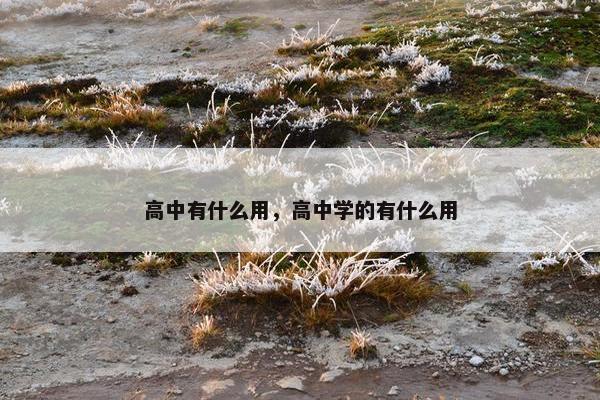高中有什么用，高中学的有什么用