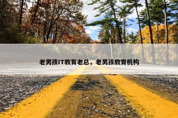 老男孩IT教育老总，老男孩教育机构