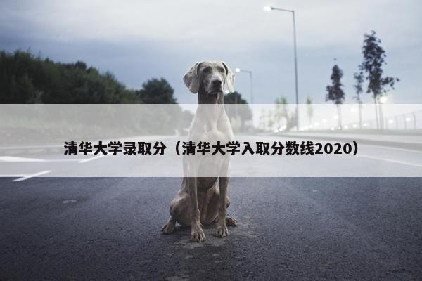 清华大学录取分（清华大学入取分数线2020）